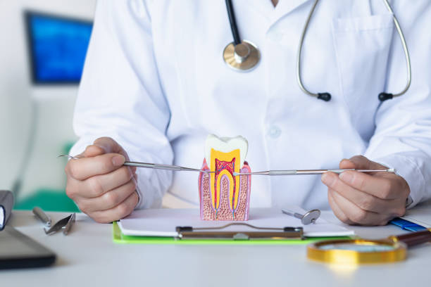 Best Weekend Emergency Dentist in Henrietta, TX